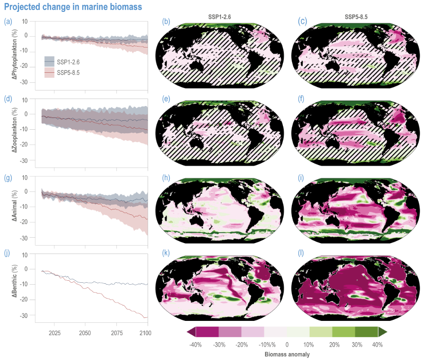 SLO - IPCC Change in Biomass SLO - IPCC Change in Biomass