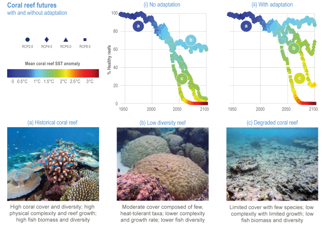 SLO - IPCC Corals SLO - IPCC Corals