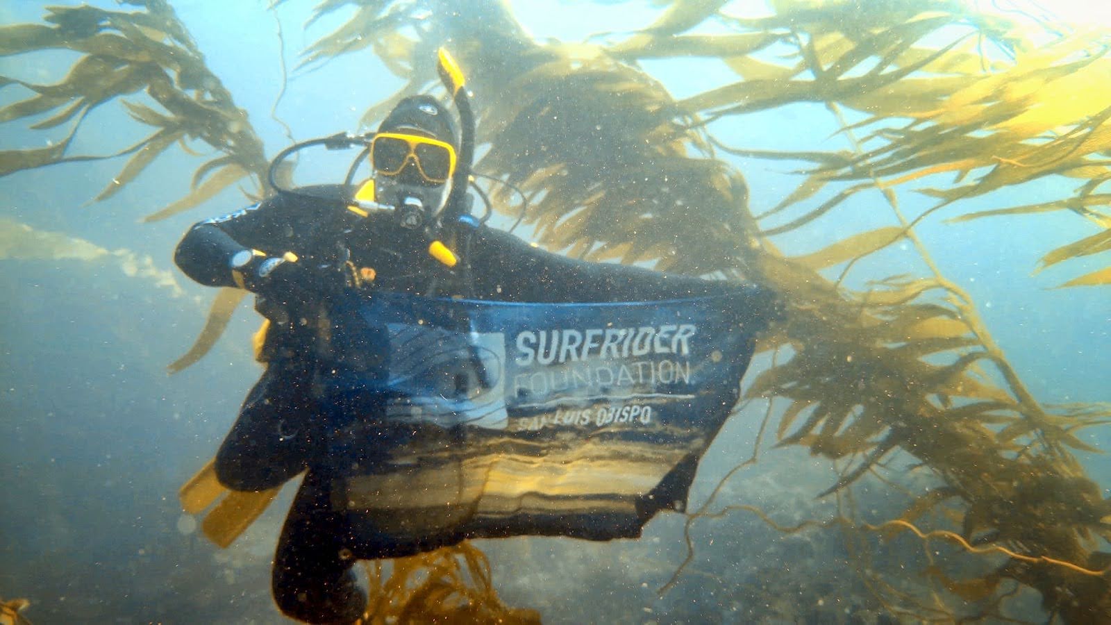Help the Kelp SLO! 2 Help the Kelp SLO! 2
