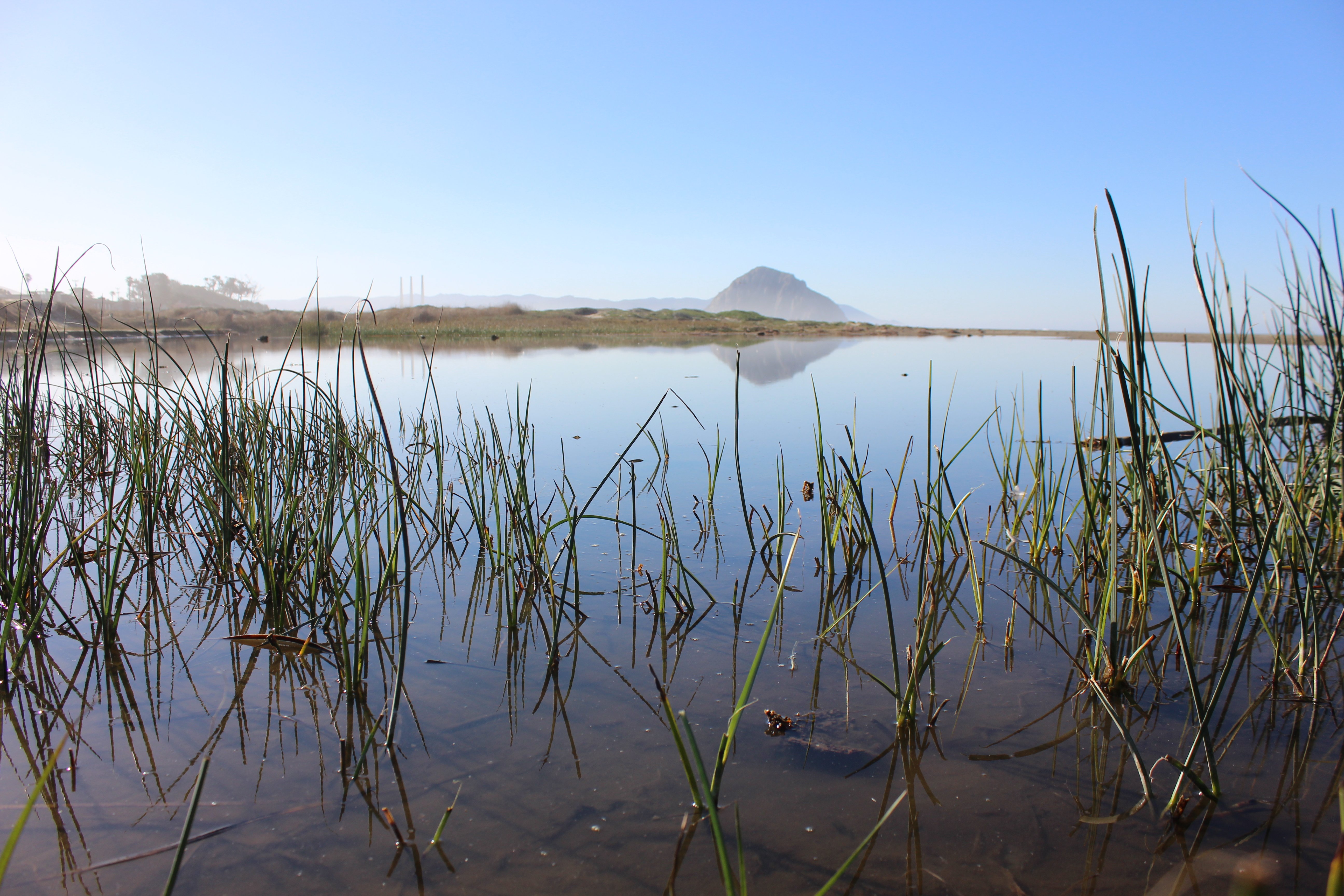 Surfrider Morro Bay